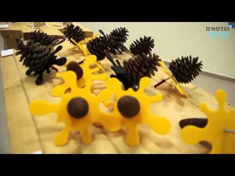 בוגרים 2015 - המחלקה לעיצוב תעשייתי באריאל