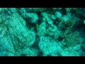 Islamorada Key Lardo Reef Dive, Gopro HD Hero 2 with BlurFix (Full Dive Video)