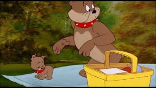 Tom And Jerry, 91 Episode Pup On A Picnic 1955