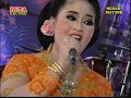 Di Tinggal Rabi - SEKAR MAYANK