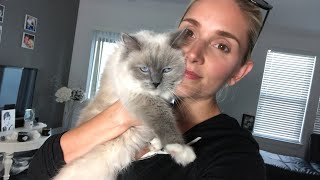 SO MUCH AMAZING!! $5 JEWELRY! Come join us! | Gypsy Wife Life