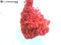 High-speed Pink Cloud of corn starch in water.