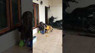 Cici Berantem Sama Bocil Barbar