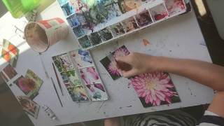 Time-lapse of Pink Flower 2