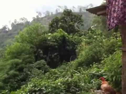 YEH DOSTI HUM NAHI TODENGE CHODENGE DUM MAGAR TERA SAATH NA...