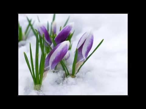 Конкурс это непонятная и прекрасная классика Конкурс это непонятная и прекрасная классика