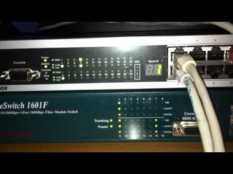 Ethernet Driver on Between D Link Dgs 3324sr And Lantech Baseswitch 1601f With 2 Ports