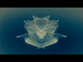 Plaid - the Launching of Big Face (Blue version)