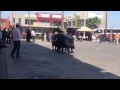 Escolta panteras Unibem Rosarito 2013