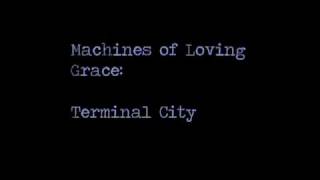 Watch Machines Of Loving Grace Terminal City video