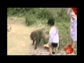 Macaco lutador de kung-fu primo do Lindomar o sub-zero Brasileiro monkey bruce lee