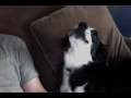 Talking Dog (Call and Response)