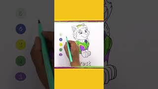 Paw Patrol Everest Colouring