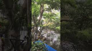 My Story At Saraburi