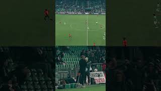 W1F0x7WkDKQ Video Image