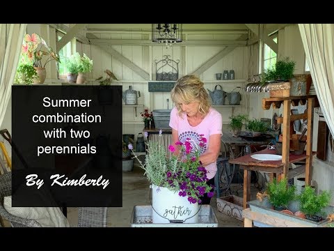 How to grow flowers: Summer flower combination using two perennials