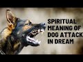 Spiritual Meaning Of Dog Attack In Dream