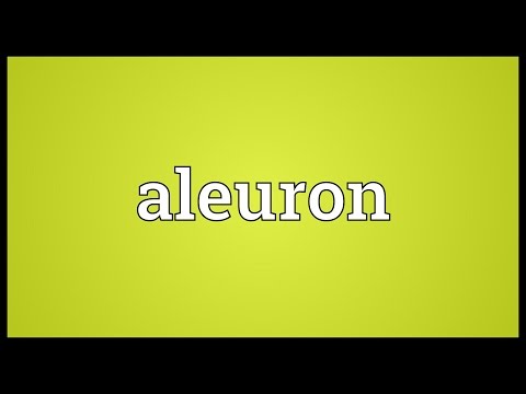 Header of aleuron