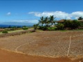 44 E. Mahi Pua Place - The Pinnacle - Maui Hawaii