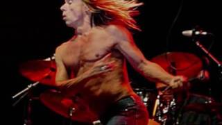 Watch Iggy Pop Supermarket video