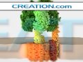 Enzyme Etymology And History | RM. Enzyme Etymology And History | RM.