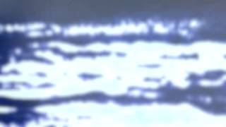 Watch Horrors Dive In video