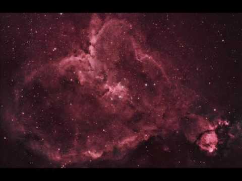 Gramatik - Eternal Love But So Evasive