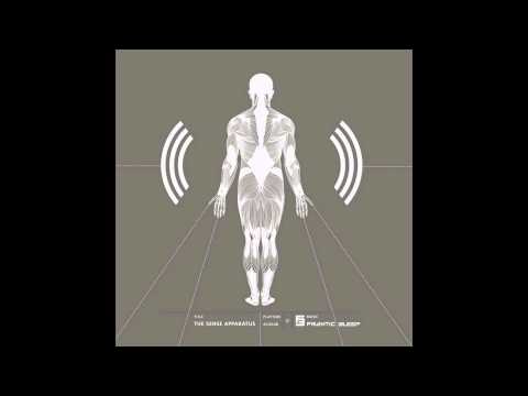 Cone Video