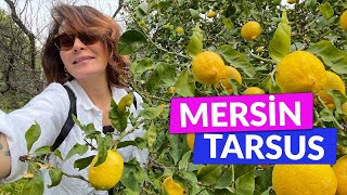 MERSİN / TARSUS - Şenay Akkurt'la Hayat Bana Güzel