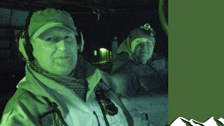 Marsupial pest hunt