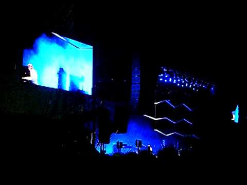 wallpaper rock_10. -Videotape- @FUJI ROCK #39;10