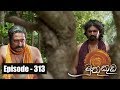 Muthu Kuda 18/04/2018 - 313