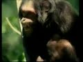 image Tarzan X Shame Of Jane Part 3