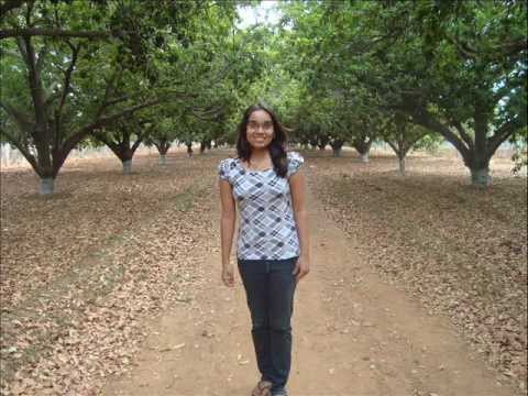 Yeh Ishq Haye Karaoke Version by Shivani