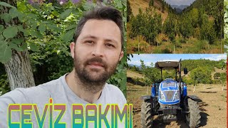 Cevi̇z Bakimi Otla Mücadele Bahcemi̇ze Baki̇m Yaptik