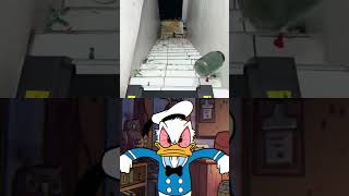 Donald Duck Is In Pain Inspired By 