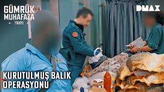 Valizinden Kurutulmuş Balık Ve Çiğ Et Çıktı Gümrük Muhafaza Türkiye
