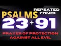 PSALMS 23 AND 91 Prayer For Protection Against Evil Plans  Be Covered By God's Grace