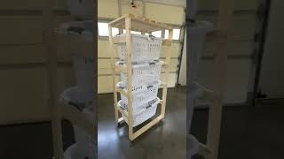 4 Tier Wide 2 Bushel