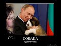 ПОДБОРКА ФОТО ИЗ ИНТЕРНЕТА