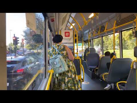 Oslo city tour by bus