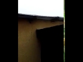 Witches Been Caught On A Roof Top Today!!! Must watch Witches Been Caught On A Roof Top Today!!! Must watch