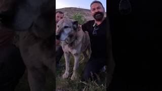 Hüseyi̇n Yildizdan Güzel Bi̇r Hi̇kaye Huseyinyldz7896