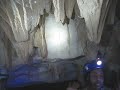 Belize cavespider and fertility room 5.avi