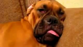 Porn.vedio.com Porn.vedio.com