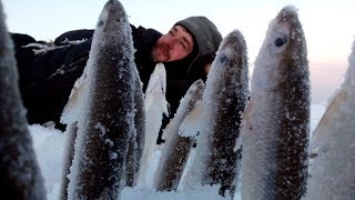 Видео Де-Кастри - от пяти до десяти от Сергей Митягин Уссури-Синема, Кастри, Сент-Люсия