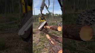 Skill In Tree Processing In The Forest With John Deere 1270G Harvester #Johndeere #Harvester #Viral
