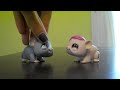 lps ginny pig fight