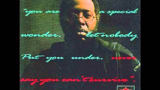 Watch Curtis Mayfield Never Say You Cant Survive video