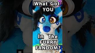 What Got You In Furry Fandom?